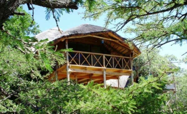 Enjoy the wonders of Hoedspruit with Tree House stay for 2 - Image 5