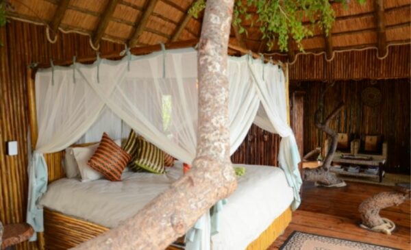 Enjoy the wonders of Hoedspruit with Tree House stay for 2 - Image 6