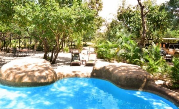 Enjoy the wonders of Hoedspruit with Tree House stay for 2 - Image 7