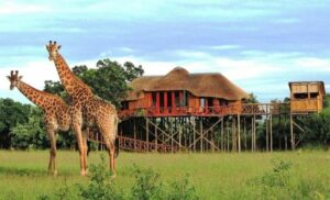 A 2-Night Game Lodge Getaway for 2 in Hoedspruit