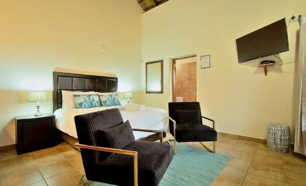 A 2-night safari stay for yourself and a loved one - Image 7