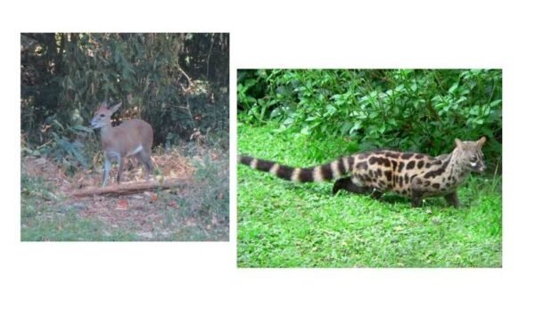 An Idyllic 1-Night B&B Stay for 2 People in Umtentweni - Image 11