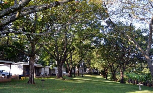 Convenient family accommodation near Hazyview - Image 10