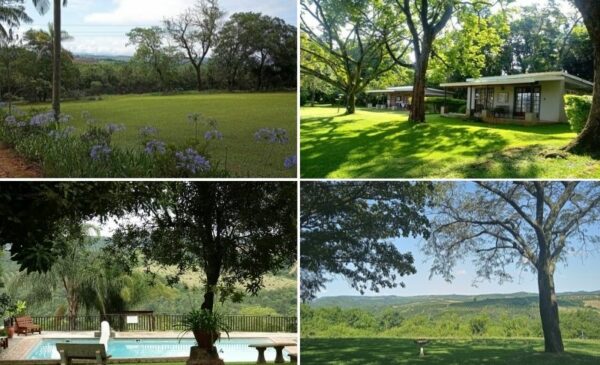Convenient family accommodation near Hazyview - Image 2