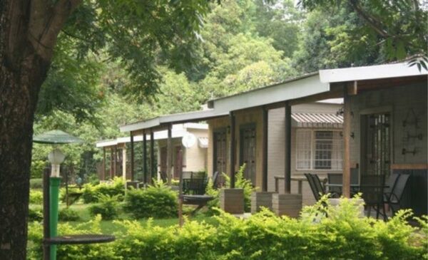Convenient family accommodation near Hazyview - Image 3