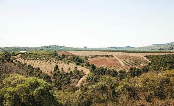 Convenient family accommodation near Hazyview - Image 4