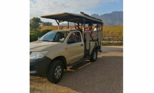 Go On A Wine Safari Tour in Stellenbosch - Image 5