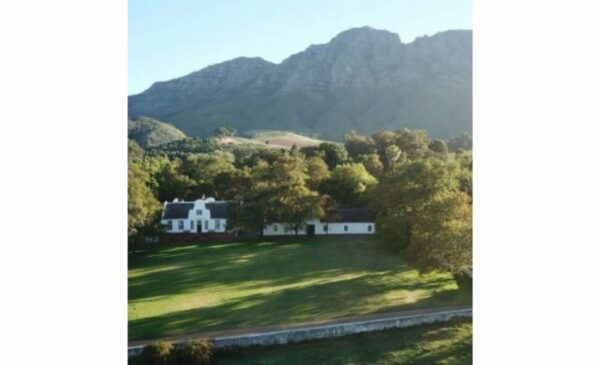 Go On A Wine Safari Tour in Stellenbosch - Image 7
