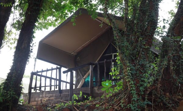 A Sabie River Valley midweek camp stay (meals included!) - Image 8