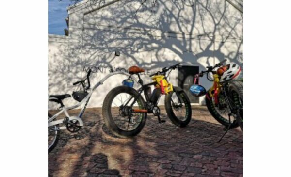 A 3.5 Hour Wine Tour on E-Bikes in Franschhoek - Image 2