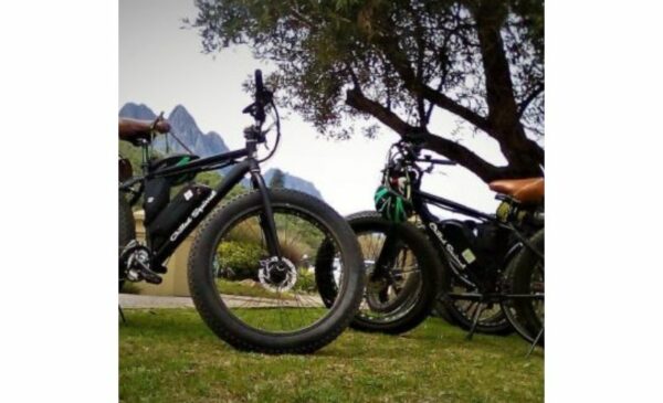 A 3.5 Hour Wine Tour on E-Bikes in Franschhoek - Image 3