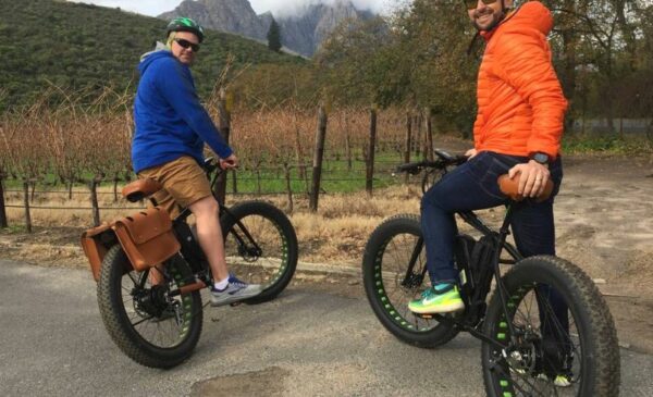 A 3.5 Hour Wine Tour on E-Bikes in Franschhoek