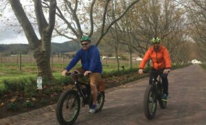 A WINE TOUR ON E-BIKES WITH VINE BIKES IN BANHOEK
