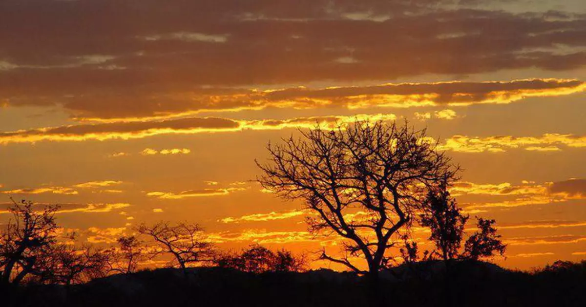 beautiful marloth park