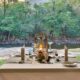 Sabie River Valley couples accommodation