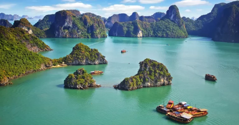 Fall in Love With Vietnam