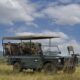 Self-catering Bush Stay in Limpopo Lichenry Bush Lodge