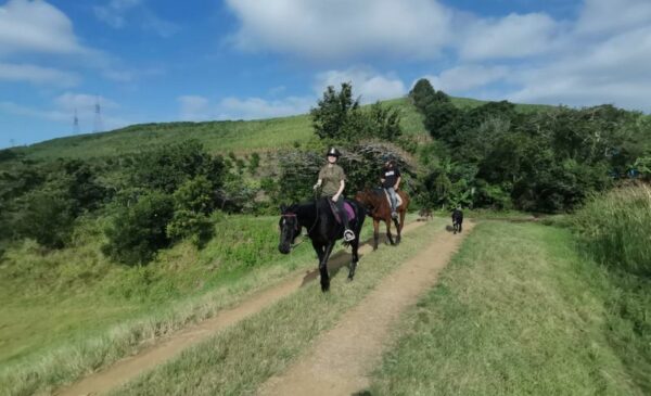 A Breathtaking 1-Hour Horse Trail Experience for 2 in Umzumbe - Image 3