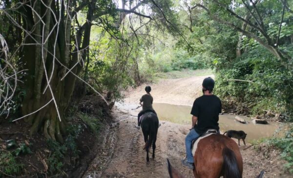 A Breathtaking 1-Hour Horse Trail Experience for 2 in Umzumbe - Image 4