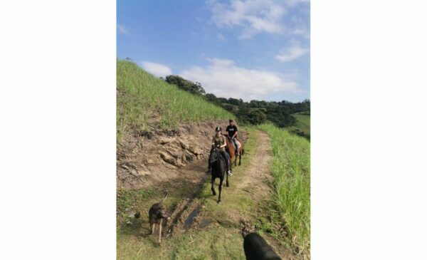 A Breathtaking 1-Hour Horse Trail Experience for 2 in Umzumbe - Image 5