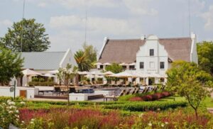 Winelands of Gauteng Kievits Kroon Wine Estate