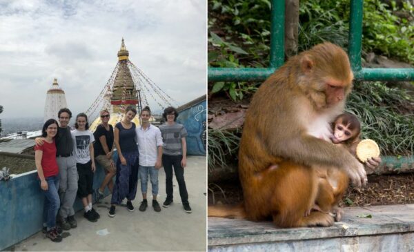 Explore Nepal on an Adventurous Tour - Image 6