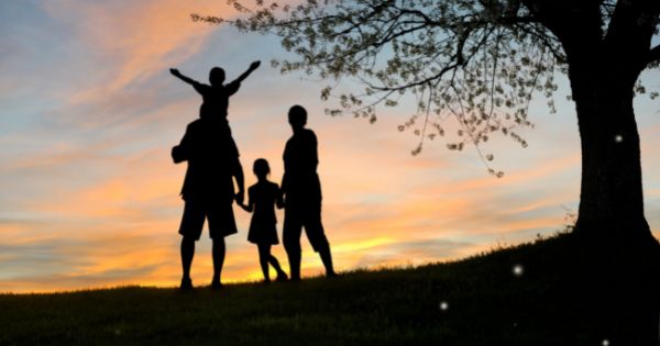 friendly accommodation