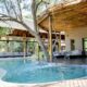 A Safari Stay at Moditlo Lodge