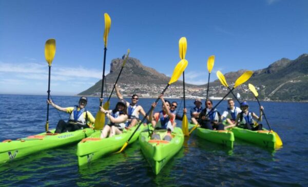 A Kayak Adventure in Hout Bay for 1 Person