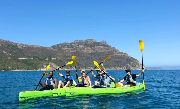 A Kayak Adventure in Hout Bay for 1 Person - Image 6