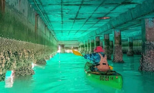 A Kayak Adventure in Hout Bay for 1 Person - Image 3