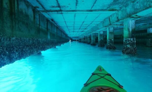 A Kayak Adventure in Hout Bay for 1 Person - Image 5