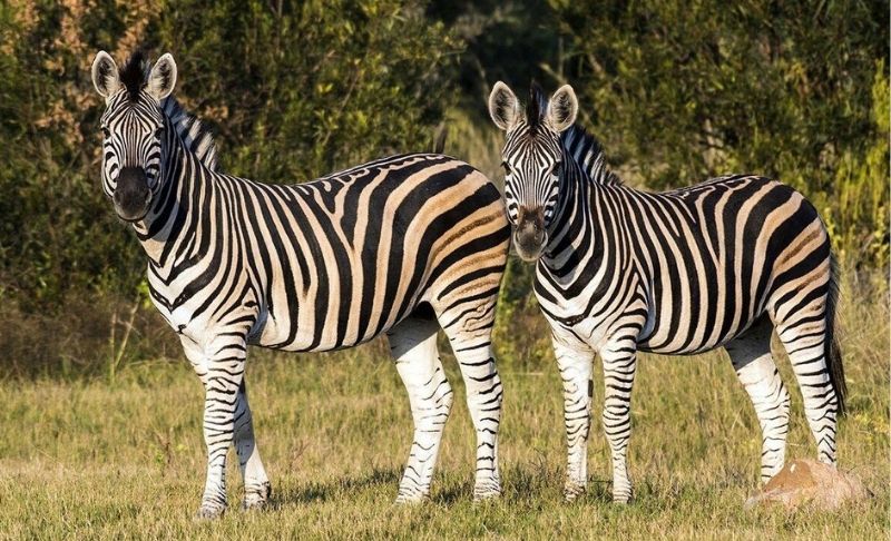 A 2-Night Self-Catering Stay for 6 in the Waterberg Region - Image 10