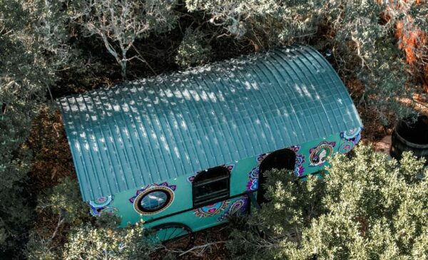 A Romantic 1-Night Stay in a Luxury Vardo in Wilderness - Image 11