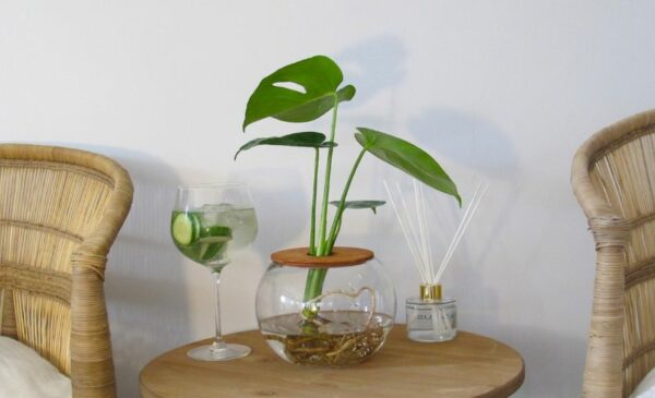 Buy A 15cm Fish Bowl with Delicious Monster Online - Image 4