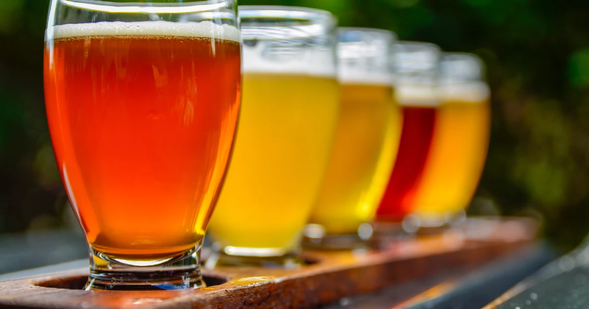 Beer Tasting In Cape Town