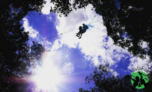 A Tsitsikamma Adventure Experience - Canopy Tours - Image 3
