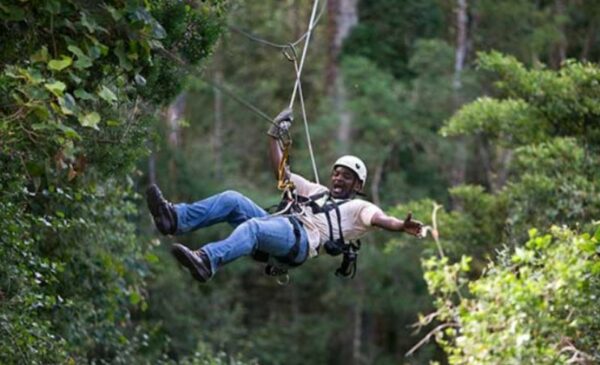A Canopy Tour Adventure in The Garden Route - Image 2