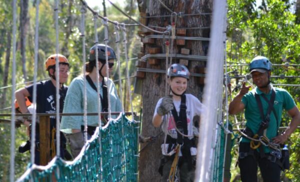 A Tsitsikamma Adventure Experience - Canopy Tours - Image 2