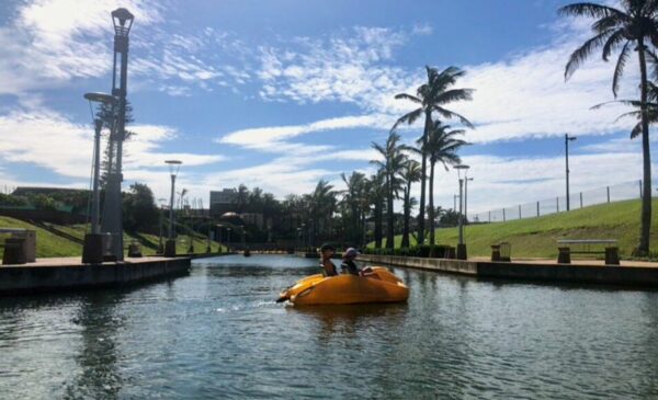 Pedal Boat Ride Experience in Durban - Image 4