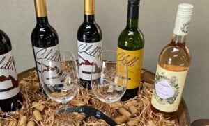 A Charming Wine Tasting Experience in Harties
