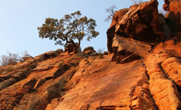 A 1-night stay for 2 in Magaliesburg - Image 4