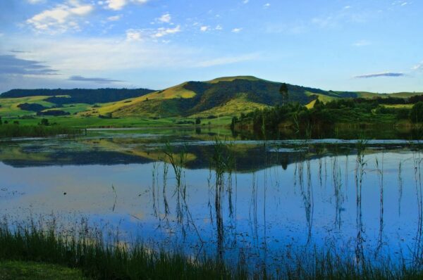 A 1-Night Stay for 4 in Midlands