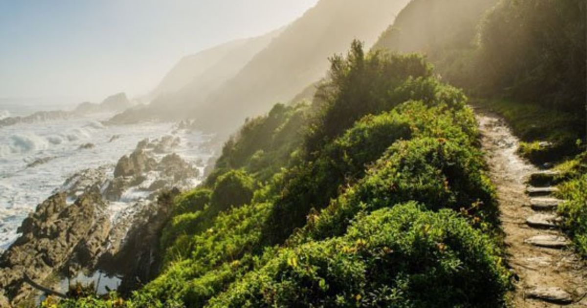 Things To Do Along The Garden Route