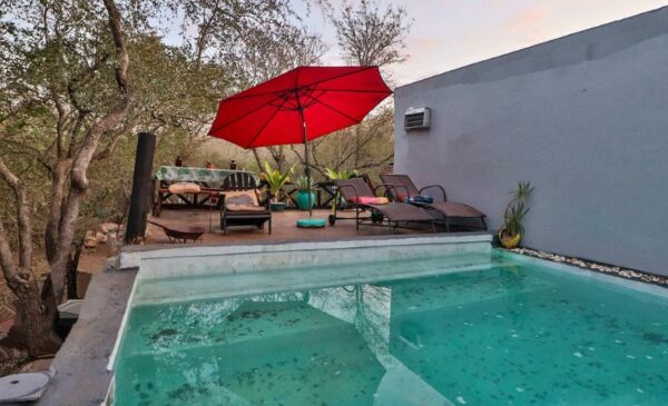 Enjoy a 2 Night Bush Stay for 2 People in Marloth Park - Image 5