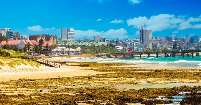 The 20 best things to do in Port Elizabeth