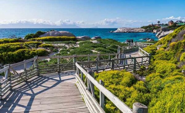 Seaside Hotel in Simons Town