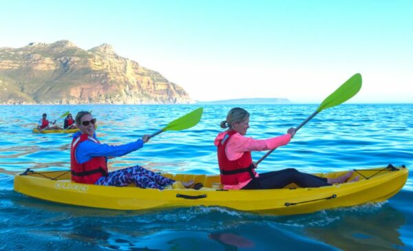 Experience a 2 Hour Kayak Adventure for 2 in Hout Bay - Image 4