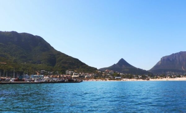 Experience a 45-Minute Seal Island Cruise for 2 in Hout Bay - Image 2
