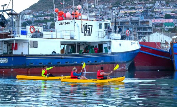 Experience a 2 Hour Kayak Adventure for 2 in Hout Bay - Image 2